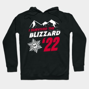 I survived the Blizzard of 2022 Hoodie